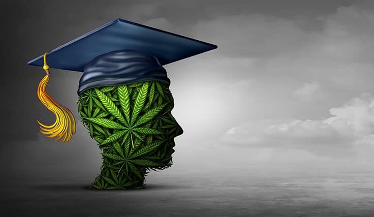 Colorado State University Announces New Degree in Cannabis Science